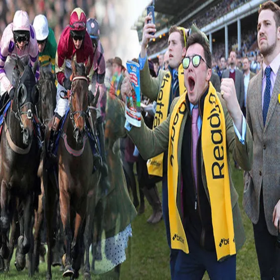 Book a Reliable Cheltenham Race Taxis Book a Reliable Cheltenham Race Taxis