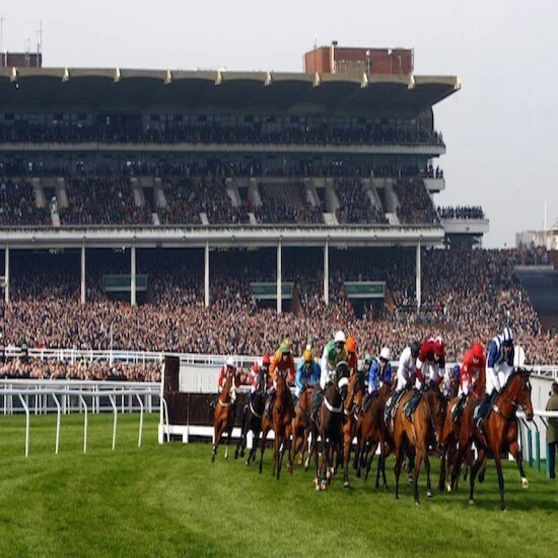 Taxi Cheltenham Racecourse From £65.00*